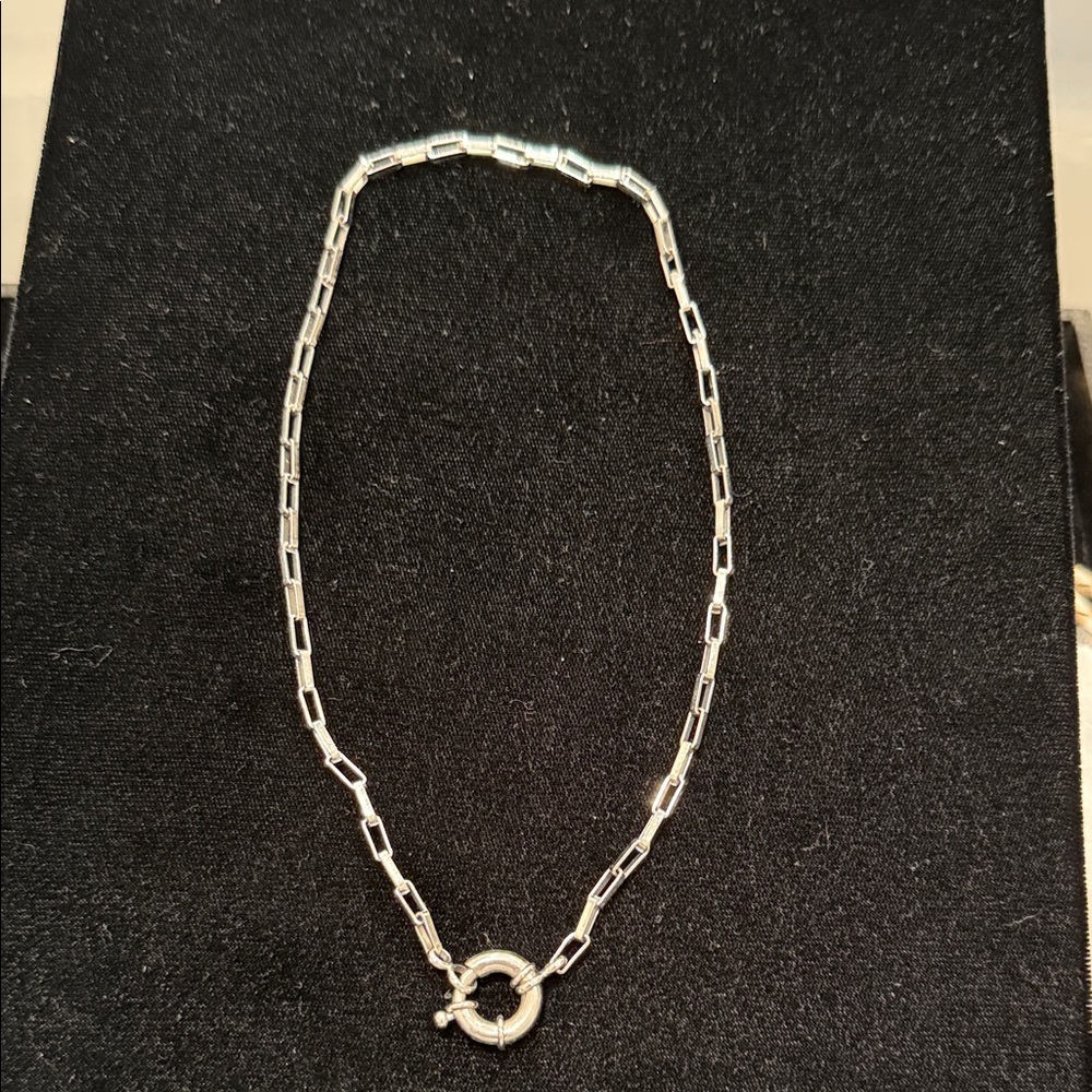 Elegant Sainless SteelChain Necklace